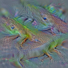 n01682714 American chameleon, anole, Anolis carolinensis